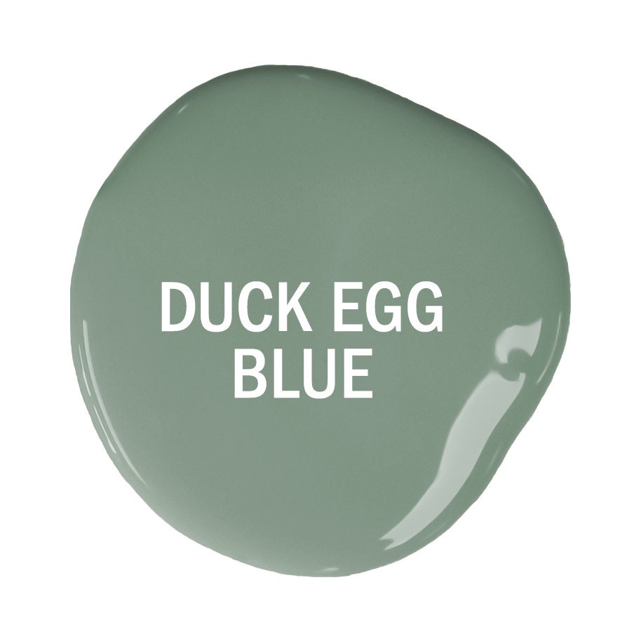Annie Sloan Duck Egg Blue  Chalk Paint®